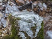 Eisüberzug an bemoostem Felsen im Zellgrabenbach